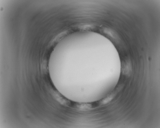 X0000081390670200701252106