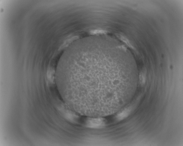 X0000081390671200701252106