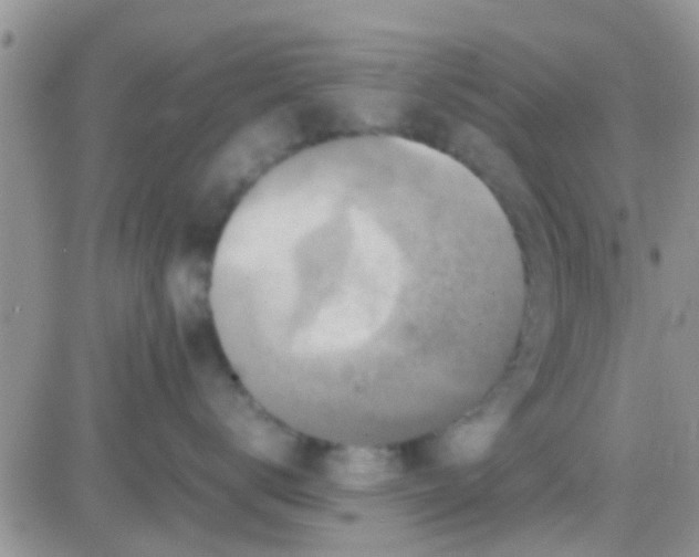 X0000081390672200701252106