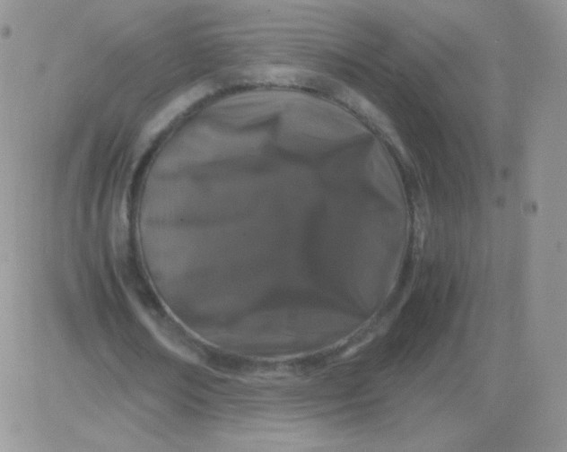 X0000081390674200701252105