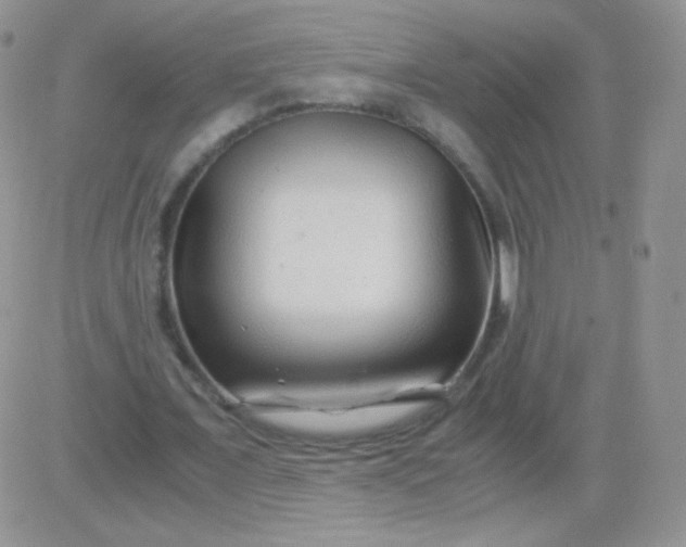 X0000081390675200701252105