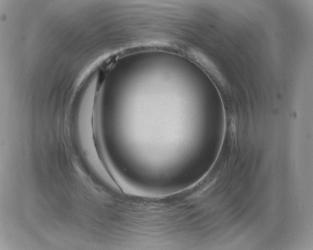 X0000081390676200701252105