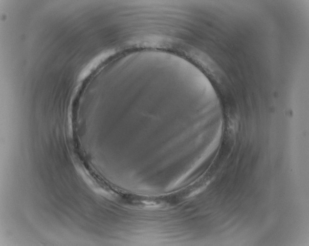 X0000081390678200701252105