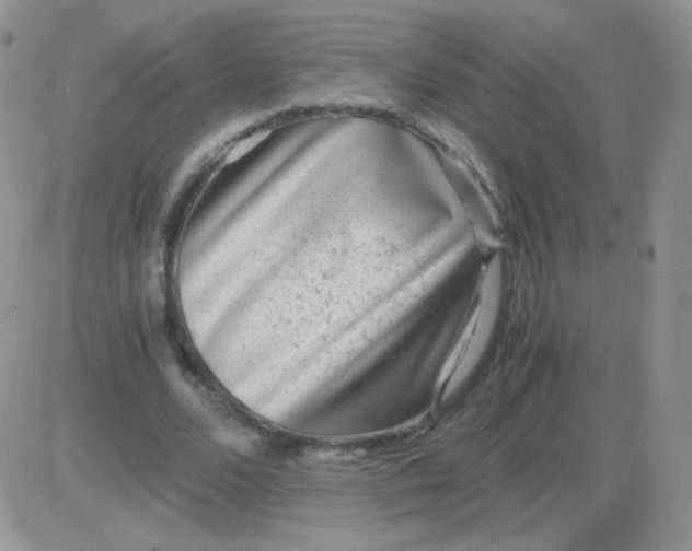 X0000081390680200701252105