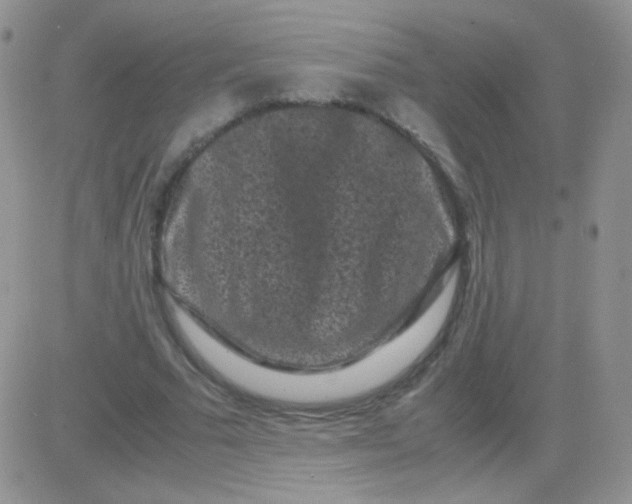 X0000081390681200701252105