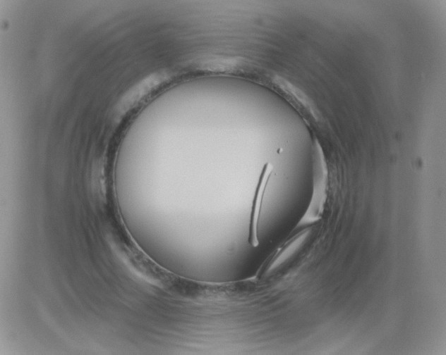 X0000081390682200701252105