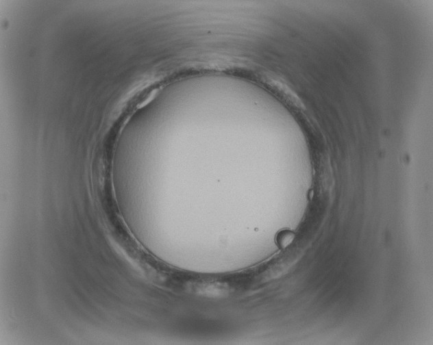 X0000081390683200701252105