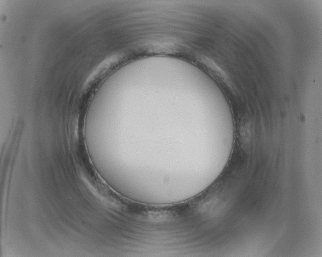 X0000081390686200701252105