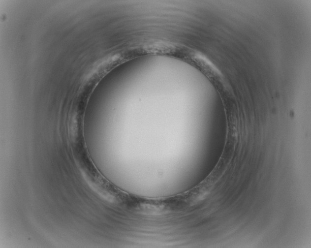 X0000081390690200701252105