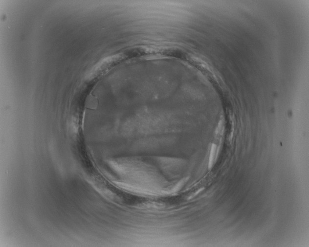 X0000081390691200701252105