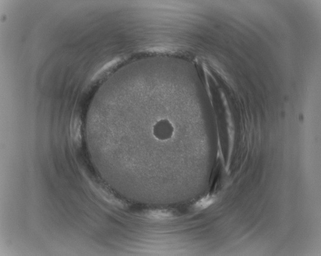 X0000081390692200701252105