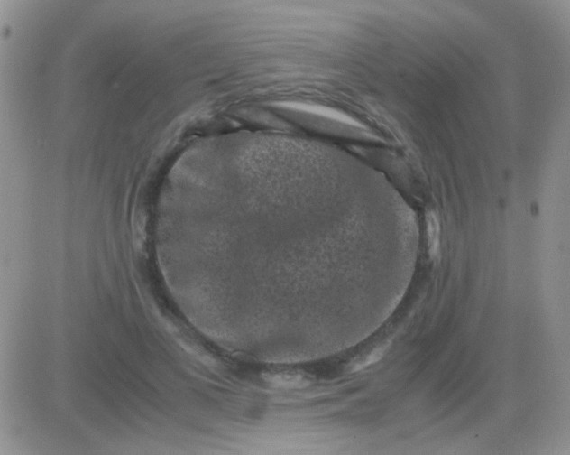 X0000081390693200701252105