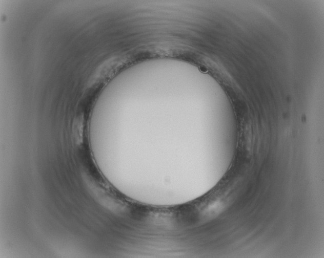 X0000081390694200701252105