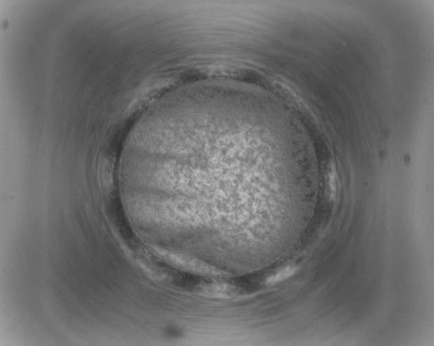 X0000081390695200701252104