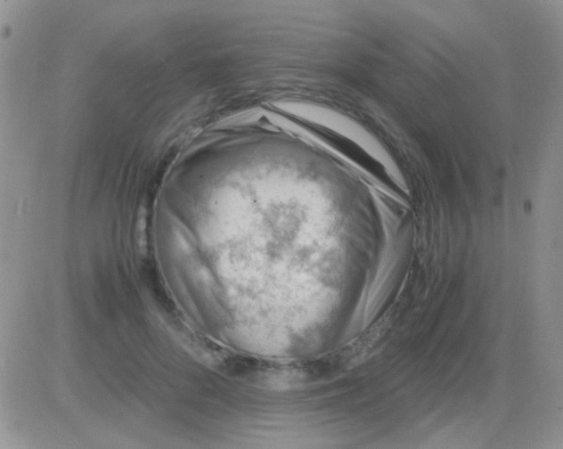 X0000081390696200701252104