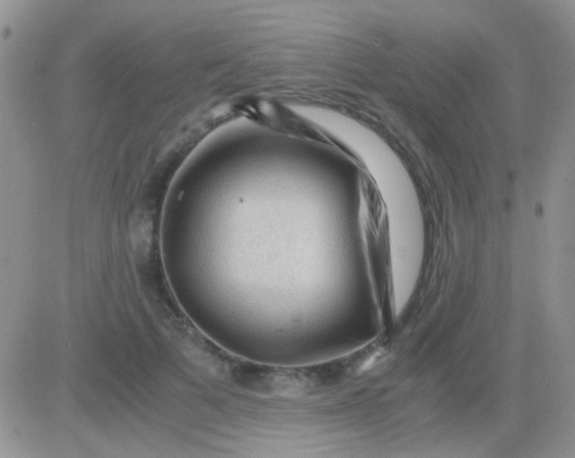 X0000081390697200701252104