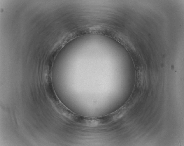 X0000081390698200701252104