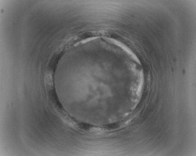 X0000081390699200701252104