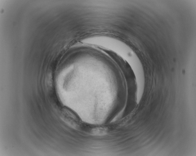 X0000081390700200701252104