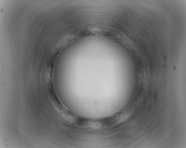 X0000081390702200701252104