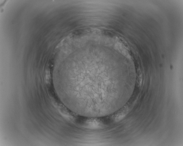 X0000081390704200701252104