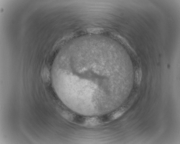 X0000081390705200701252104