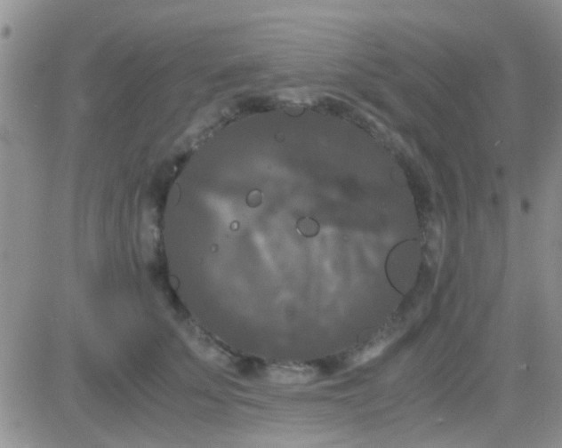 X0000081390707200701252104