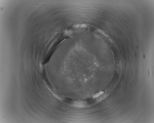 X0000081390708200701252104