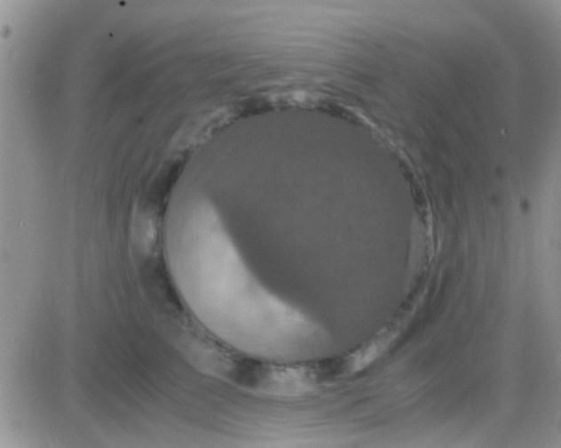 X0000081390709200701252104