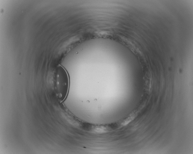 X0000081390710200701252104