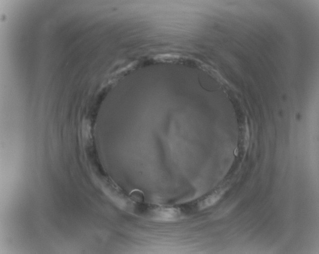 X0000081390711200701252104