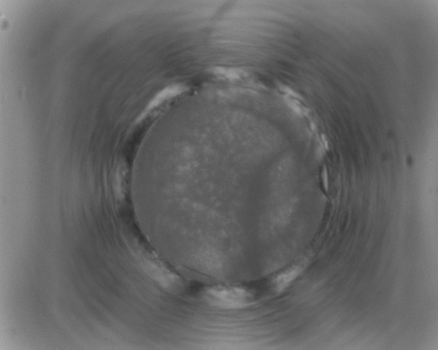 X0000081390712200701252104