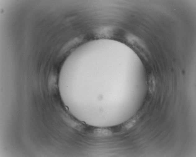 X0000081390714200701252104