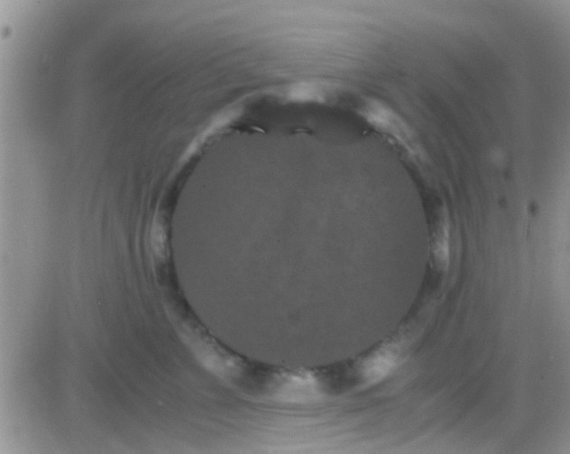 X0000081390715200701252104