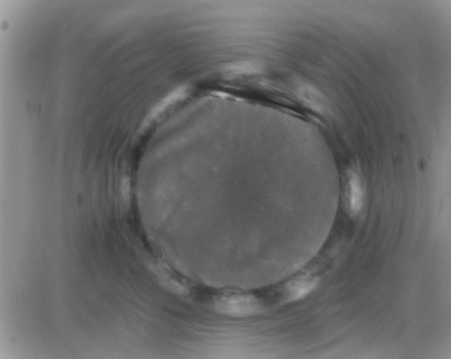 X0000081390716200701252104