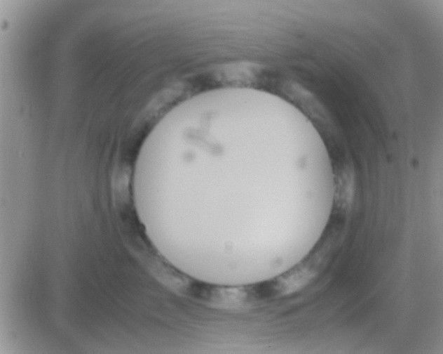 X0000081390717200701252104