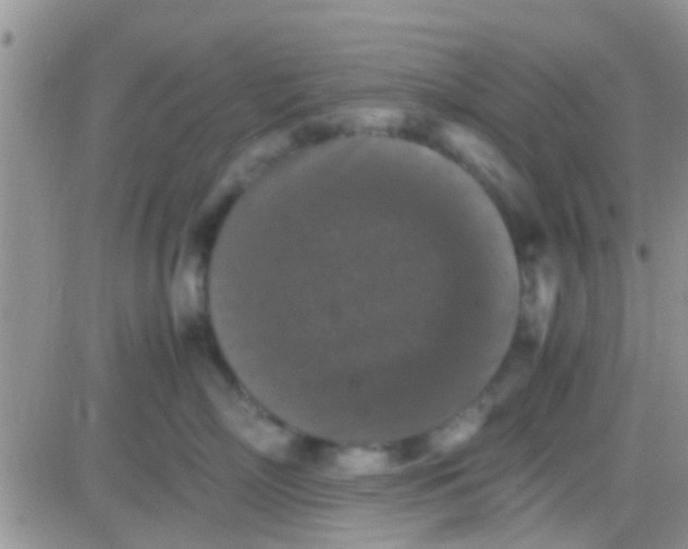 X0000081390718200701252104