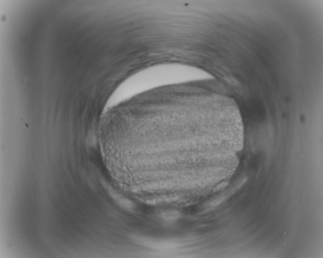 X0000081390719200701252104