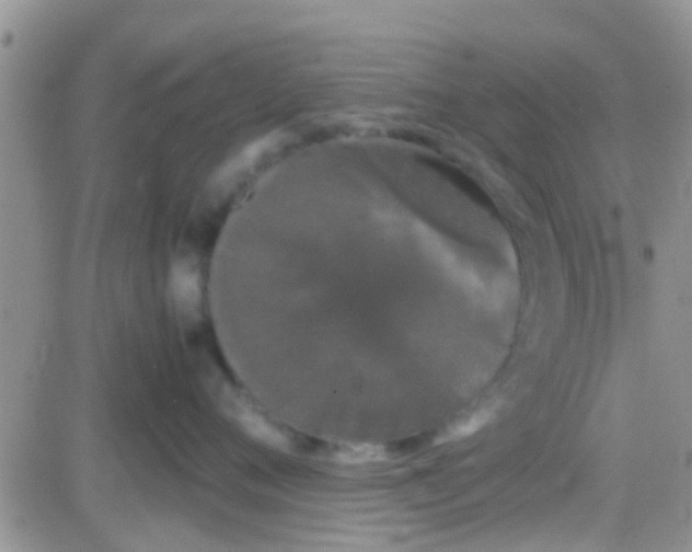 X0000081390720200701252104