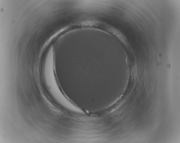 X0000081390722200701252103