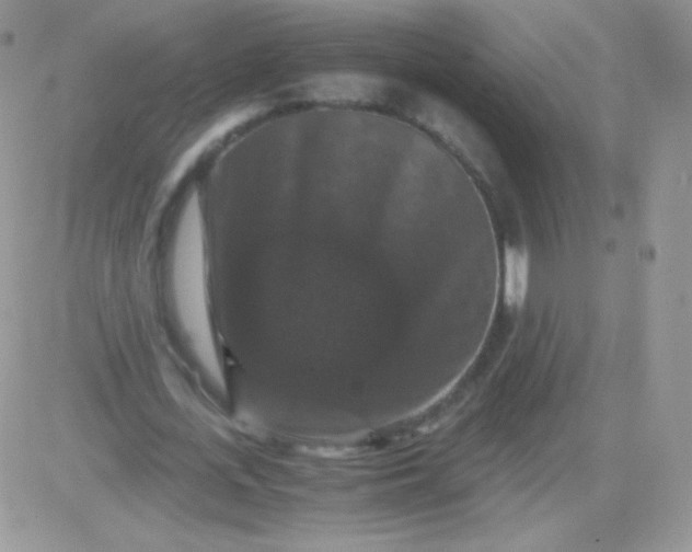 X0000081390723200701252103