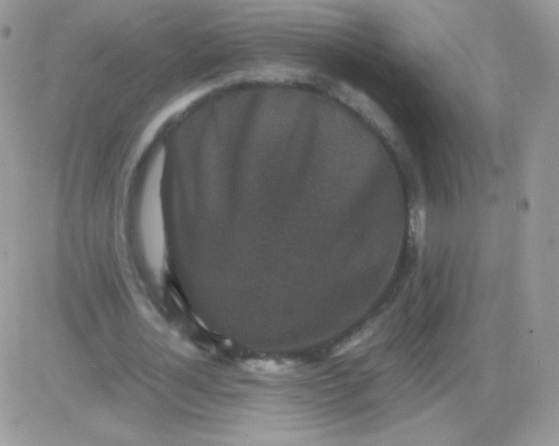 X0000081390724200701252103