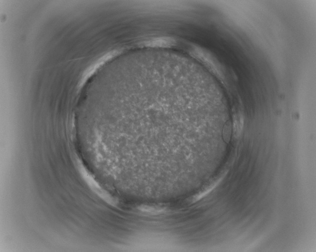 X0000081390725200701252103