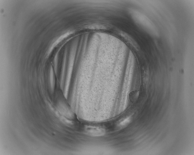 X0000081390727200701252103