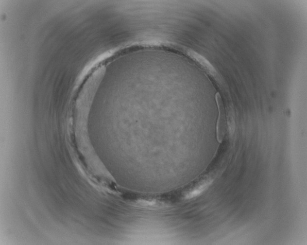 X0000081390728200701252103