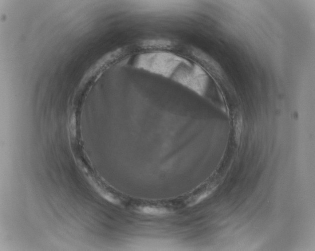 X0000081390729200701252103