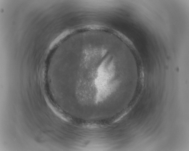 X0000081390730200701252103