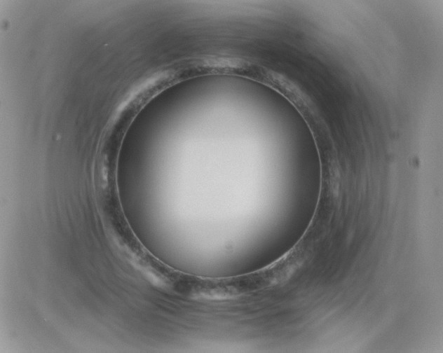 X0000081390731200701252103