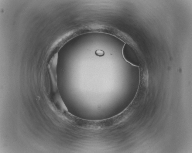 X0000081390732200701252103