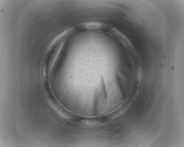 X0000081390733200701252103